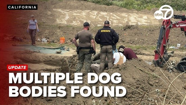 117 câini morți găsiți la un sanctuar de animale din California, mulți împușcați