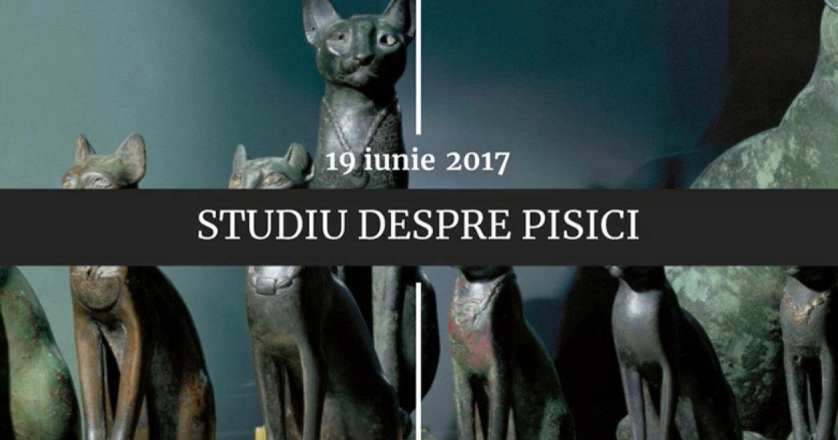 19 iunie în istorie: Execuția soților Rosenberg, azilul lui Assange și studiul genetic al pisicilor