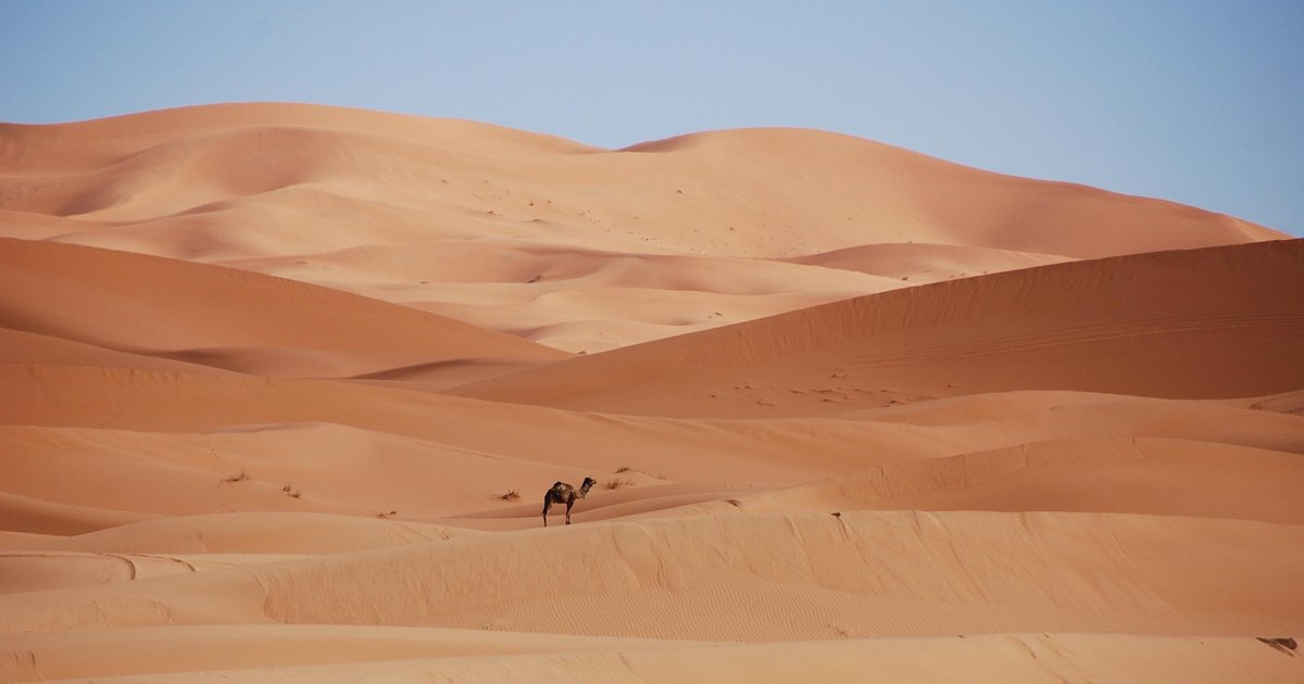 49 de migranți nigerieni morți de sete în Sahara după defectarea camionului