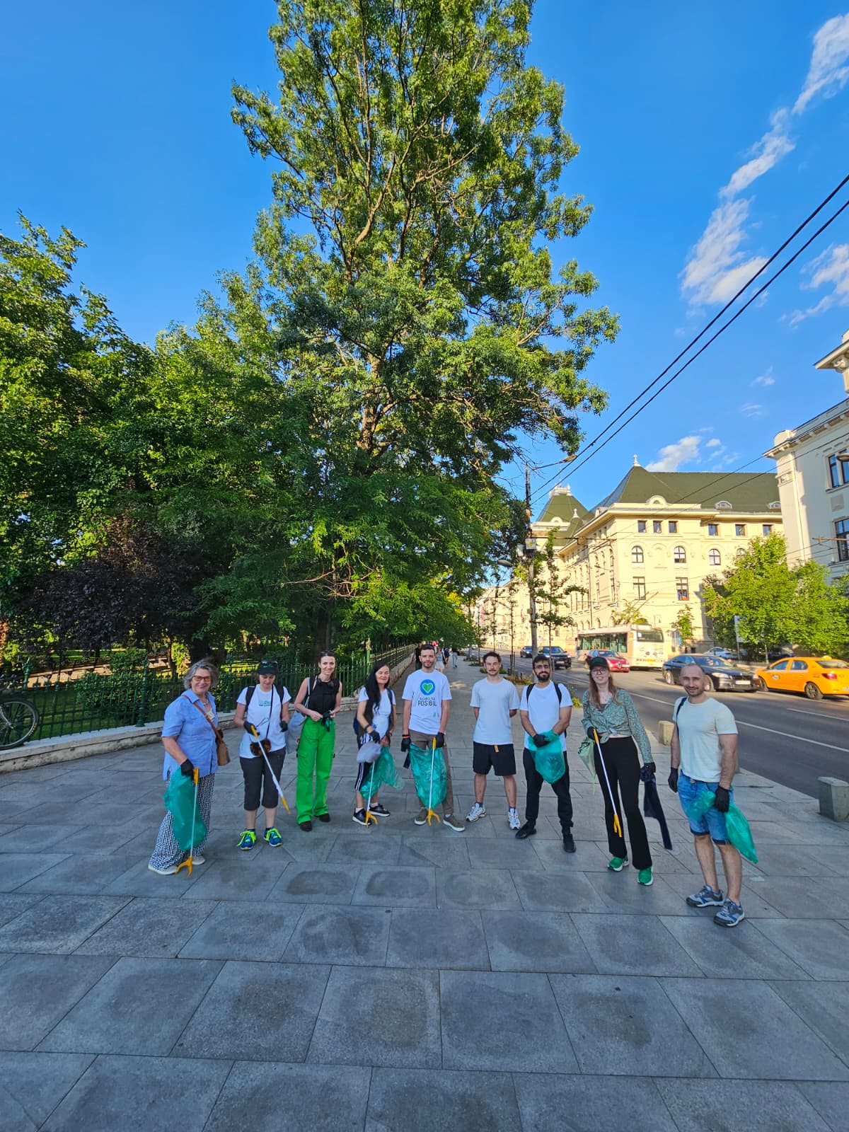 Acțiune de curățenie pe Bulevardul Regina Elisabeta: cum arată copacii plantați prin proiectul „Coroană Verde” după doi ani