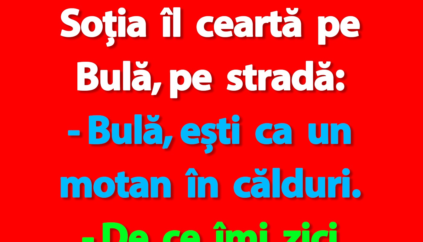 Banc cu Bulă și Bubulina: „Bulă, ești ca un motan în călduri”