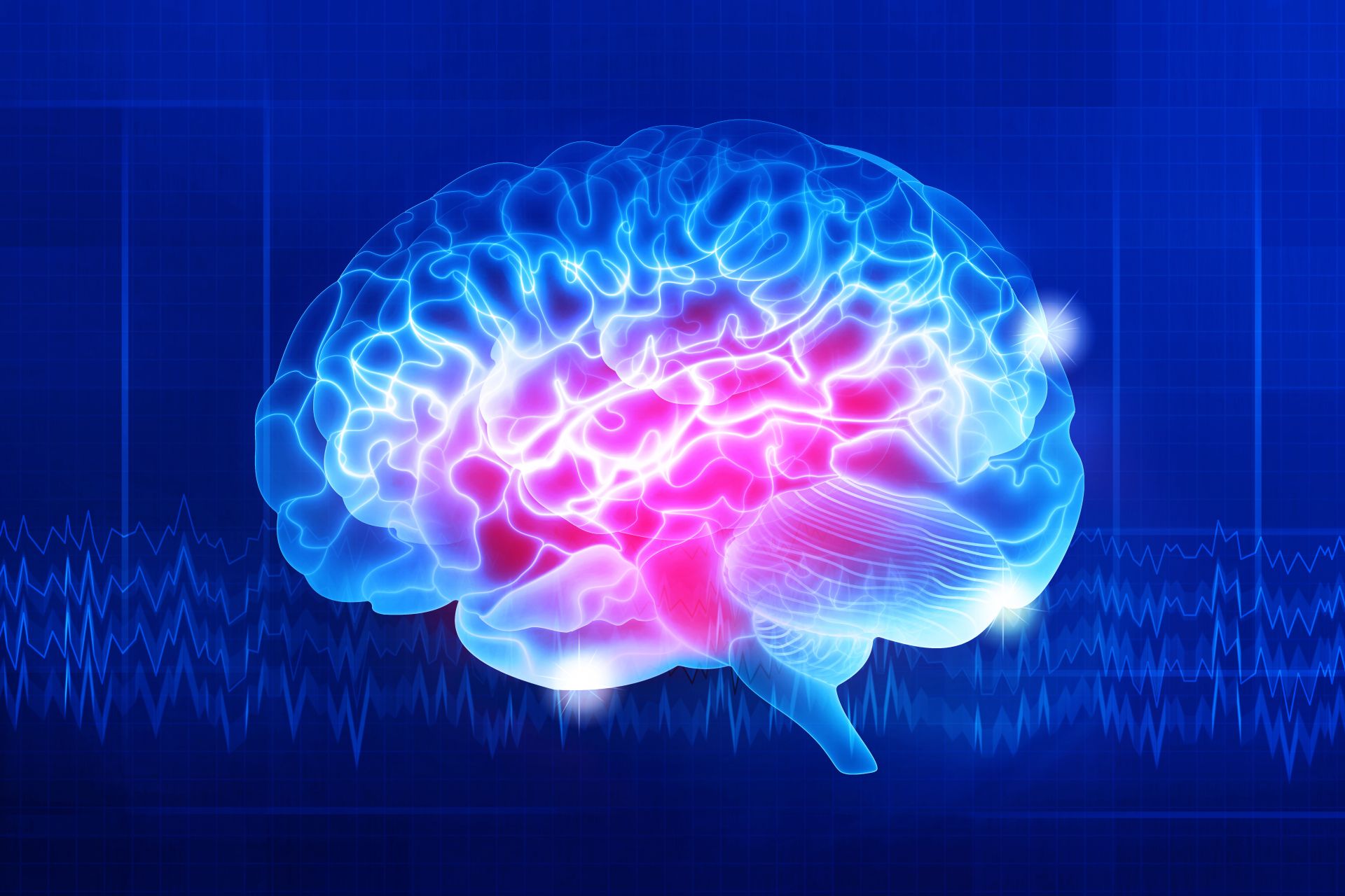 Cercetătorii au inversat anxietatea la șoareci prin repararea unui circuit cerebral