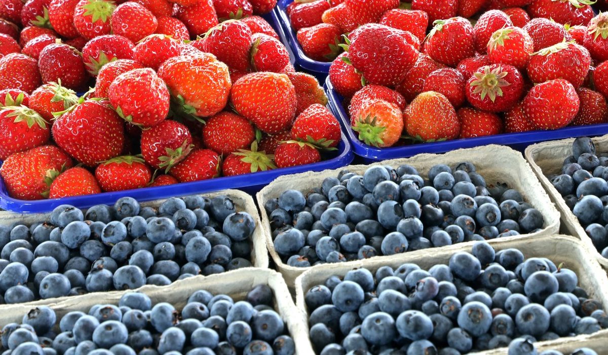 Comercianții din Polonia înșală clienții cu afine ambalate în borcane mai mici