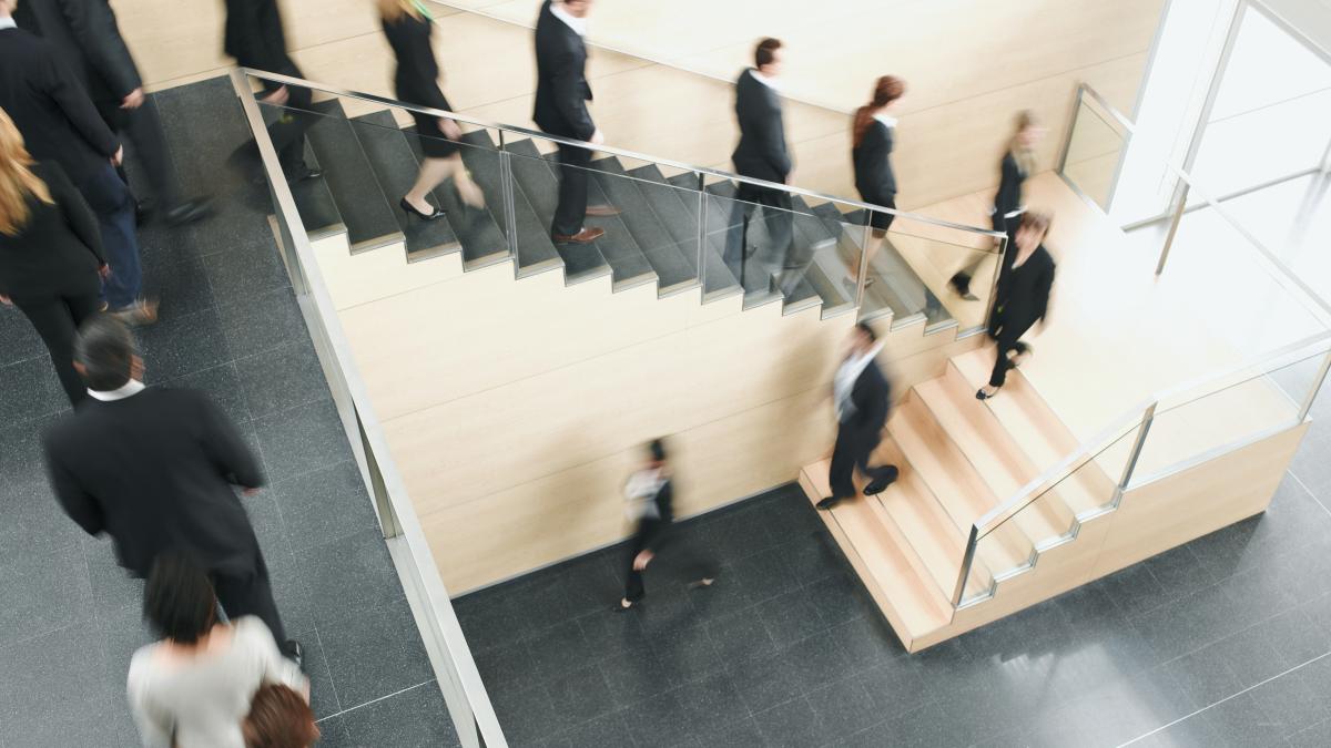 Companie din Danemarca cu 500 de angajați funcționează fără șefi, deciziile se iau împreună