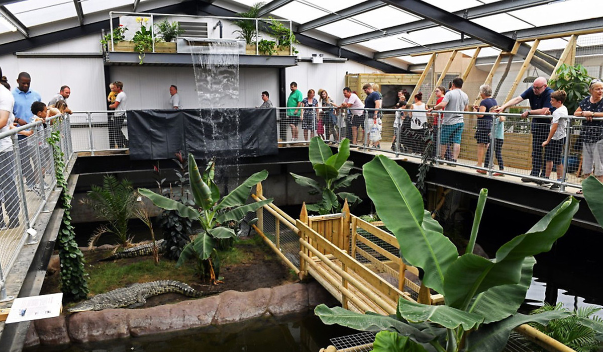 Copil de 3 ani, aruncat în groapa cu crocodili la o grădină zoologică din Marea Britanie. Îngrijitorii l-au salvat