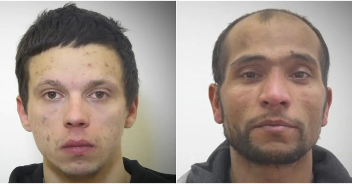 Doi hoți de metale arestați după prăbușirea unei clădiri în Germania, soldată cu moartea a două românce