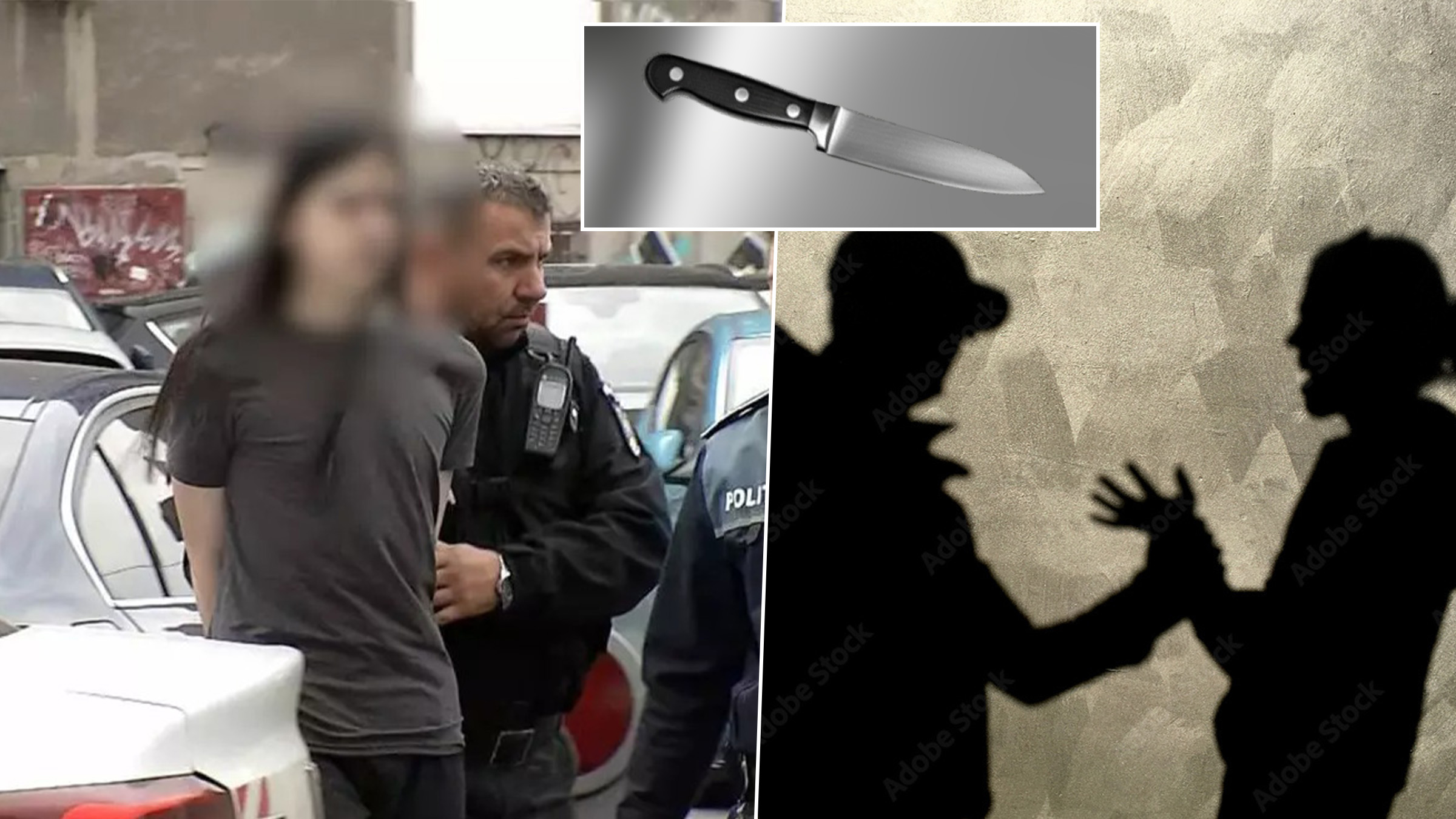 Elevul care și-a înjunghiat profesoara de japoneză, eliberat din centrul de detenție după 14 luni