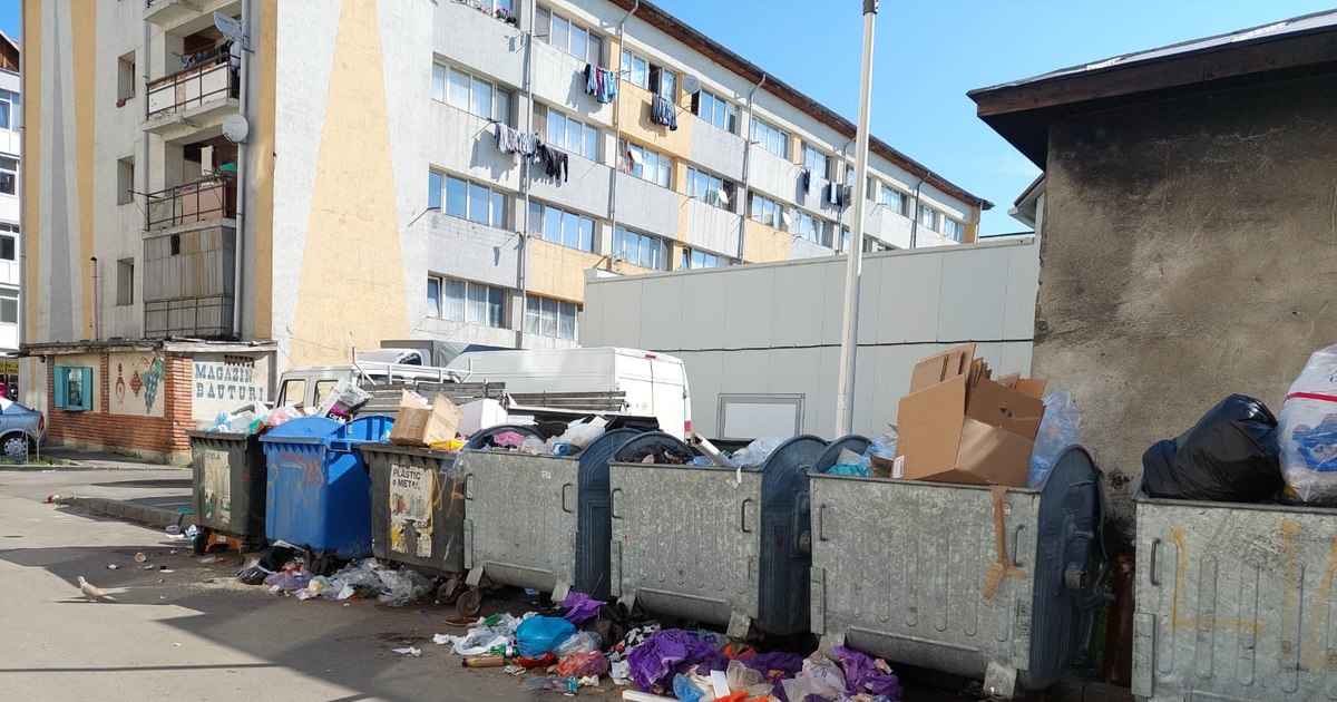 Eliminarea ghenelor de gunoi din București reaprinde controversele: promisiuni vechi, furie publică și întârzieri birocratice