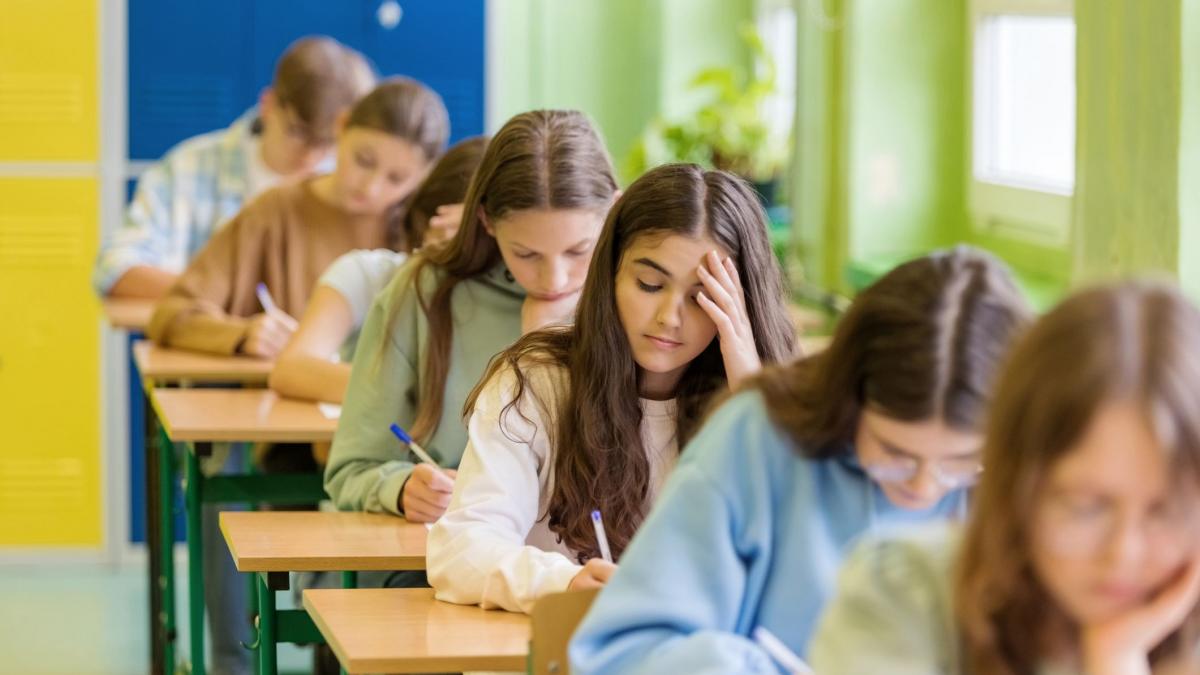 Evaluarea Națională 2026: Subiectele la Limba Română se publică astăzi