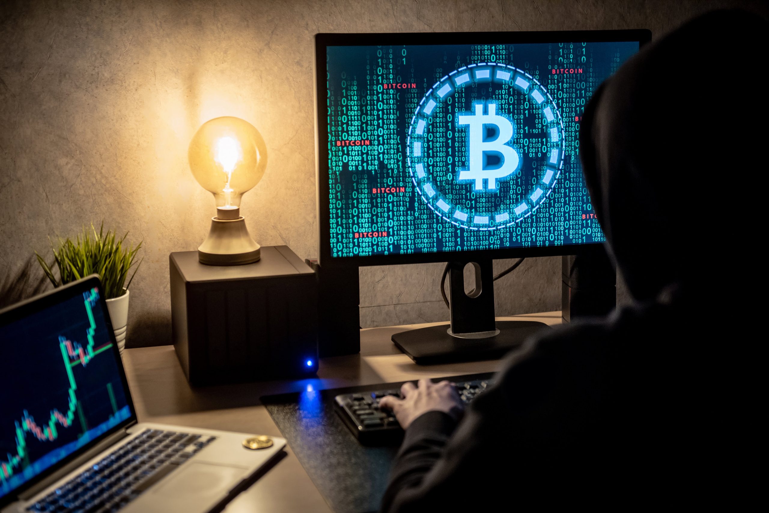 Fermă de criptomonede descoperită de ANAF la Satu Mare: 407 echipamente confiscate