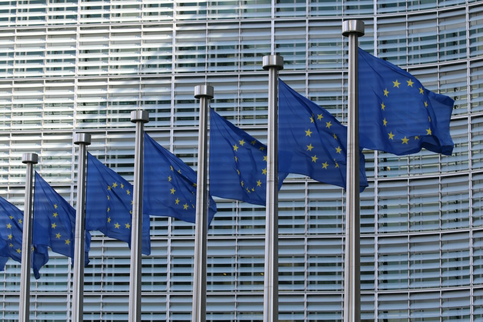 Germania, Franța, Olanda, Belgia și Luxemburgul propun limitarea drepturilor de vot pentru noii membri UE