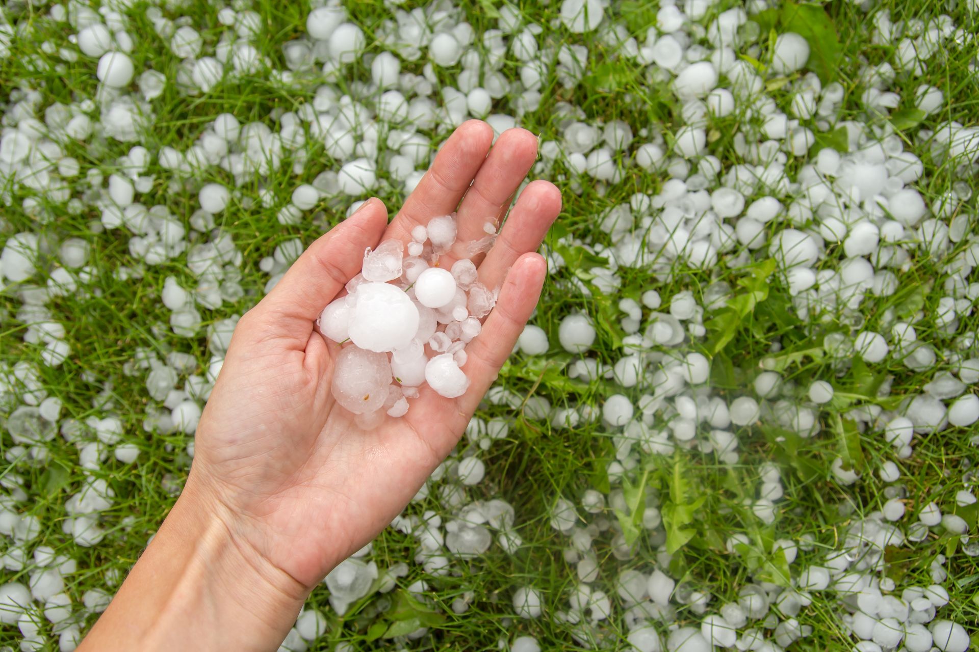 Grindina devine mai periculoasă din cauza schimbărilor climatice, arată două studii