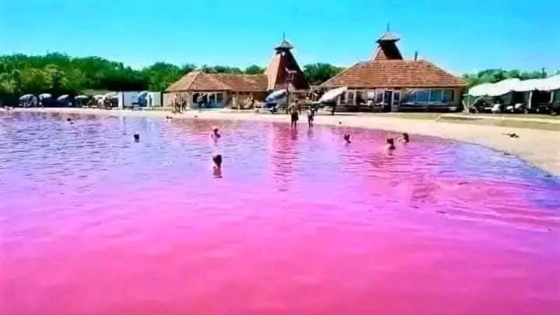 Lacul roz cu ape vindecătoare din Serbia, la doar câteva ore de România