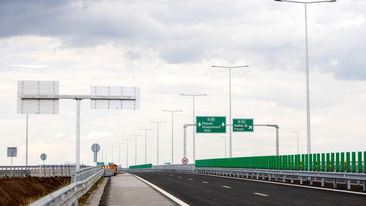 Lamelele verzi de pe marginea autostrăzii: rol esențial pentru siguranța rutieră
