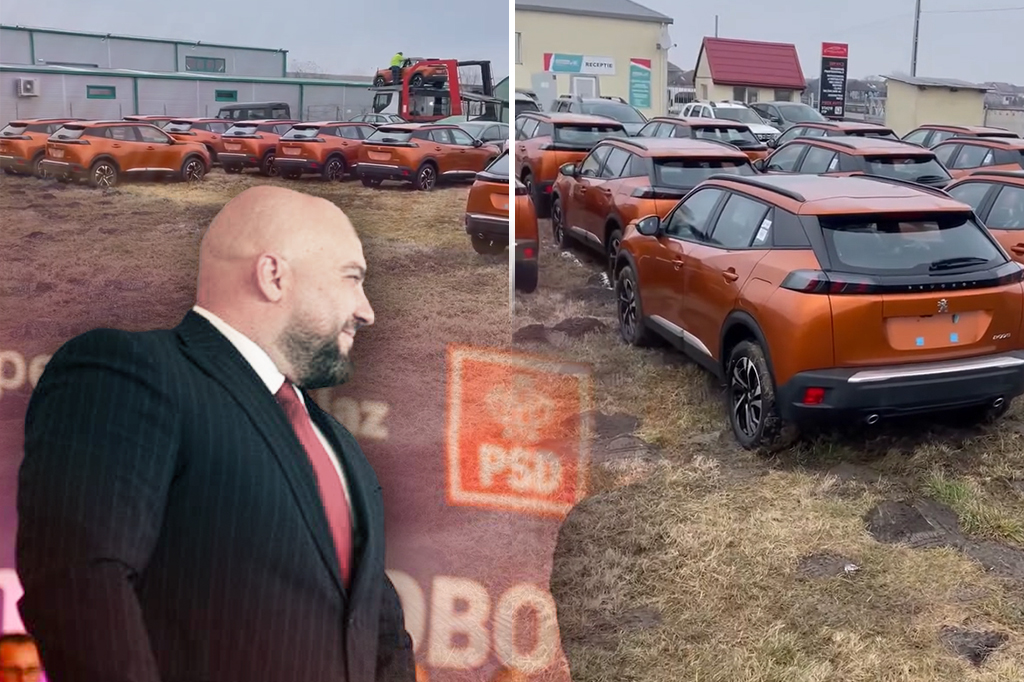 Lider PSD din Timișoara, acuzat că a bătut un om de afaceri german și a furat 50 de mașini
