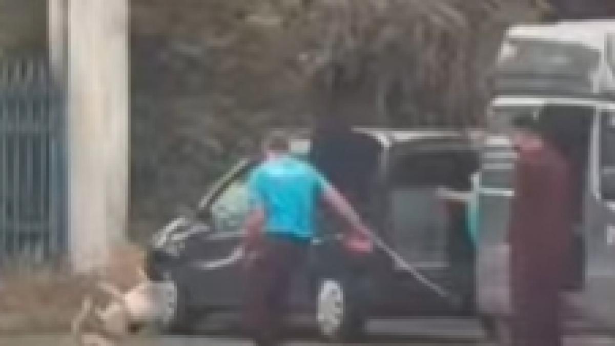 Liderul PUSL Slatina cere verificări după ce câini capturați au fost duși într-o pădure