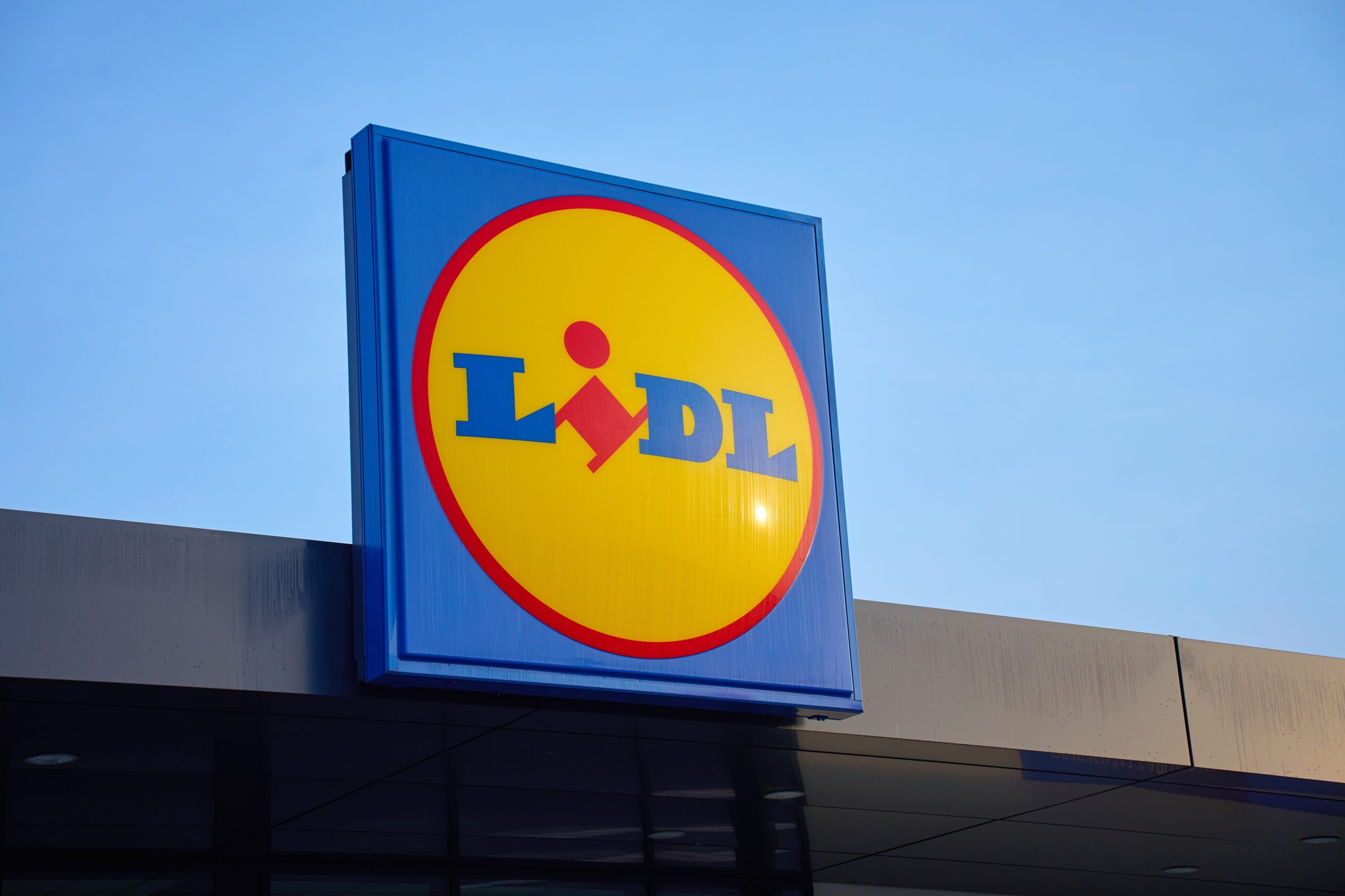 Lidl retrage căpșuni congelate bio din cauza norovirusului. Produsul poate cauza probleme digestive