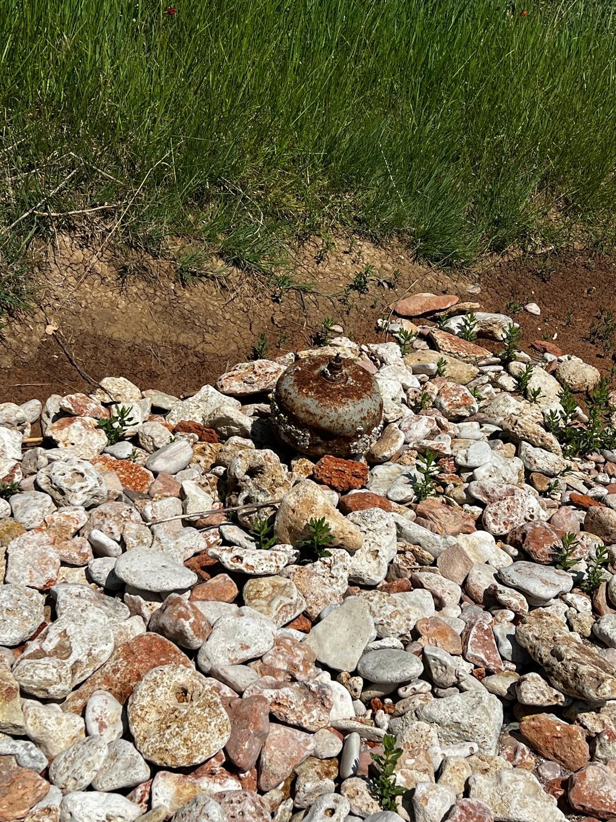 Mină marină descoperită pe plaja dintre Vama Veche și 2 Mai, neutralizată de Forțele Navale