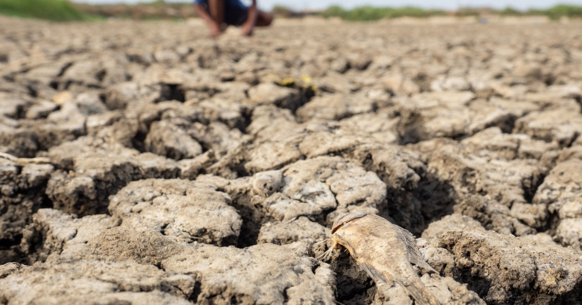 ONU avertizează: Fenomenul El Nino revine iminent, cu 80% șanse să se formeze până în septembrie