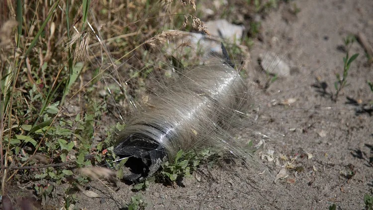 Păsări din Ucraina își fac cuiburi din fibre optice ale dronelor militare