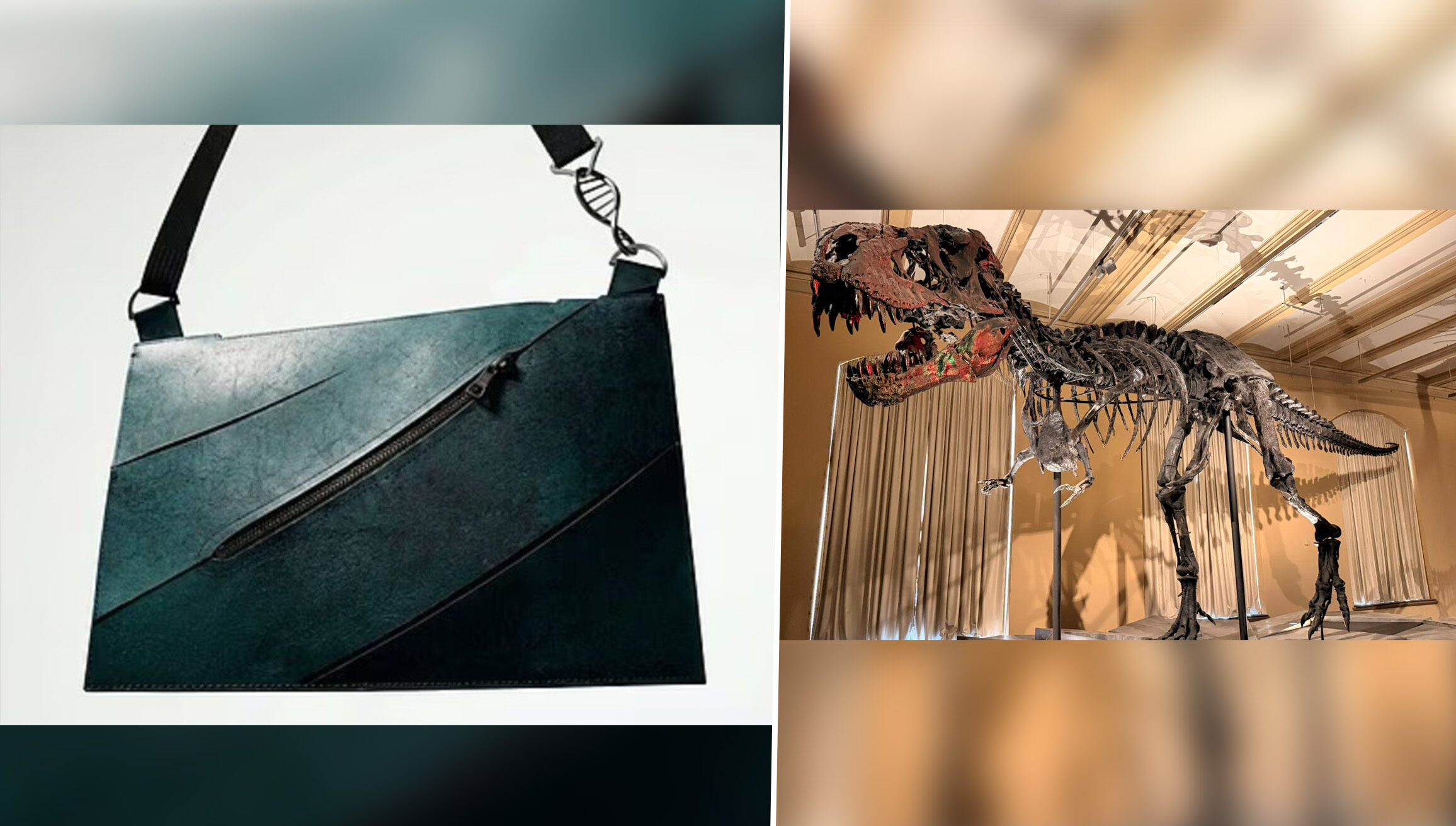 Prima geantă din piele de T-Rex, creată în laborator, scoasă la licitație. Prețul pornește de la 300.000 de euro