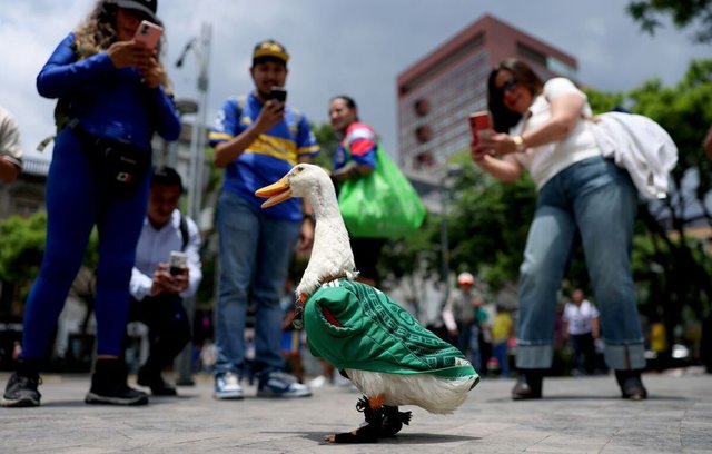 Rața Merlin, mascota neoficială a Cupei Mondiale 2026, primită de președinta Mexicului
