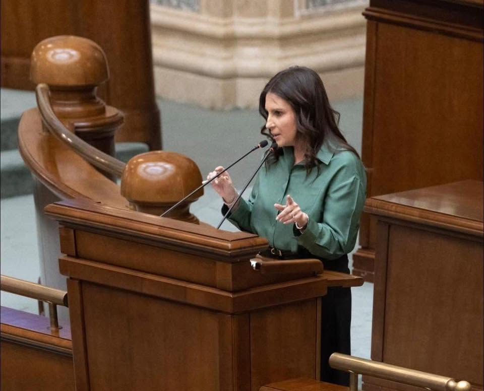 Senator PNL: Două variante de guvern minoritar – condus de PSD sau din PNL, USR și UDMR