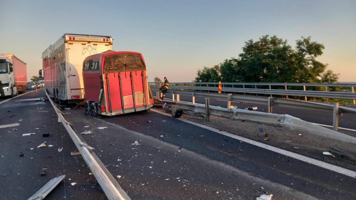TIR cu cai de concurs a rupt parapetul pe A1, în Timiș, și a ajuns pe contrasens. Trafic blocat