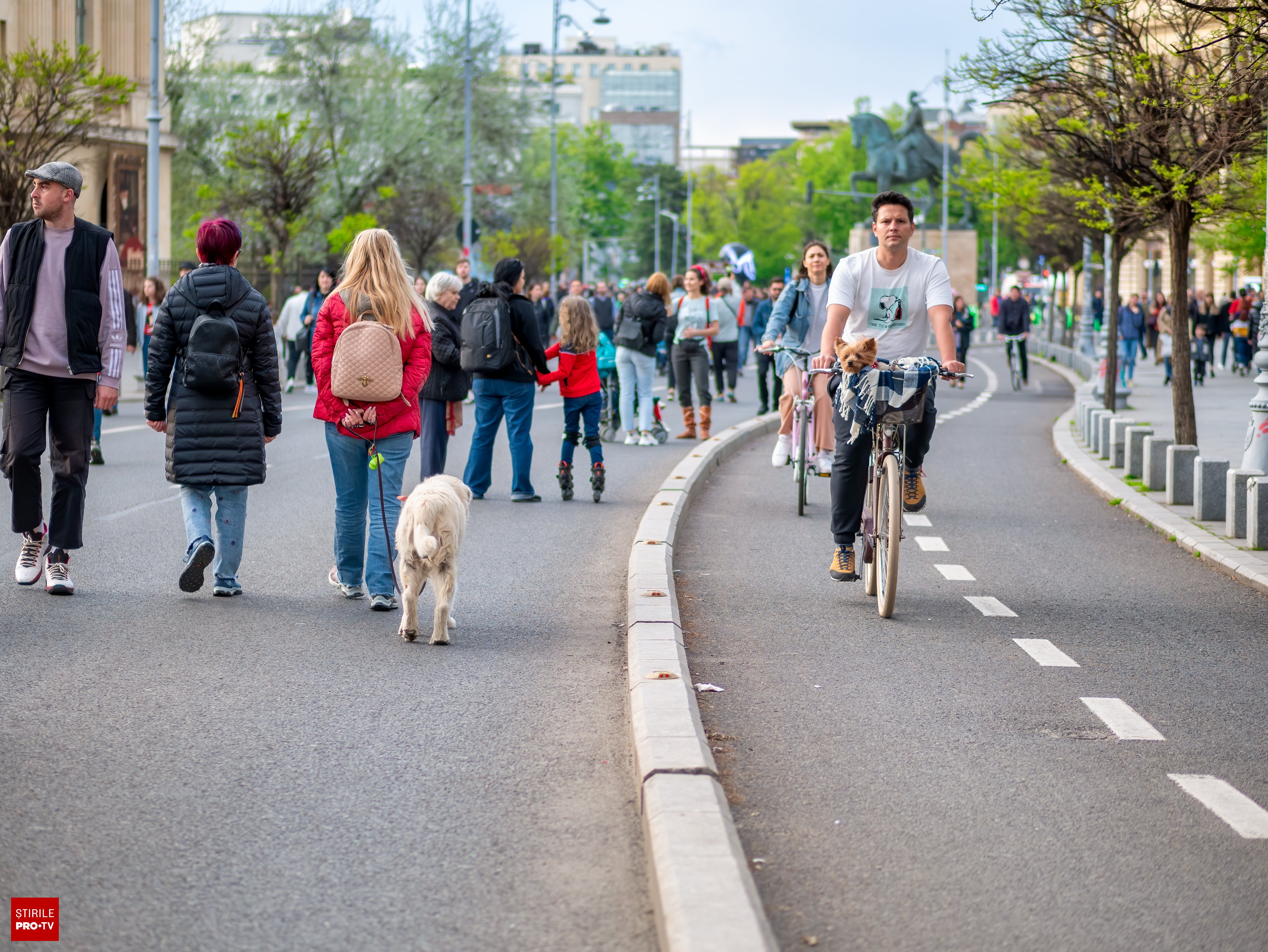 Trafic restricționat pe Calea Victoriei în weekend pentru evenimente culturale