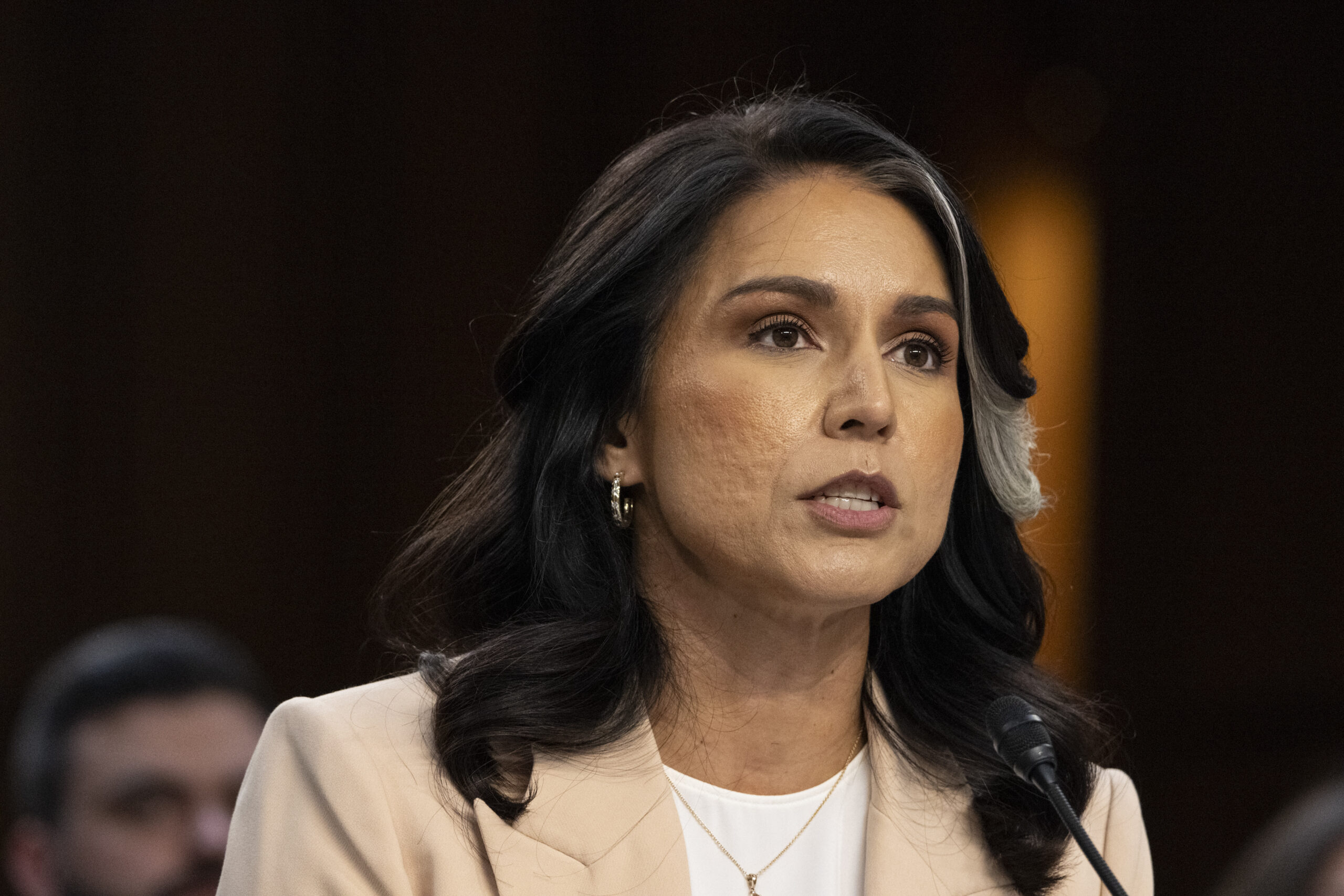 Tulsi Gabbard: Fonduri federale americane au finanțat peste 120 de biolaboratoare în peste 30 de țări, inclusiv Ucraina