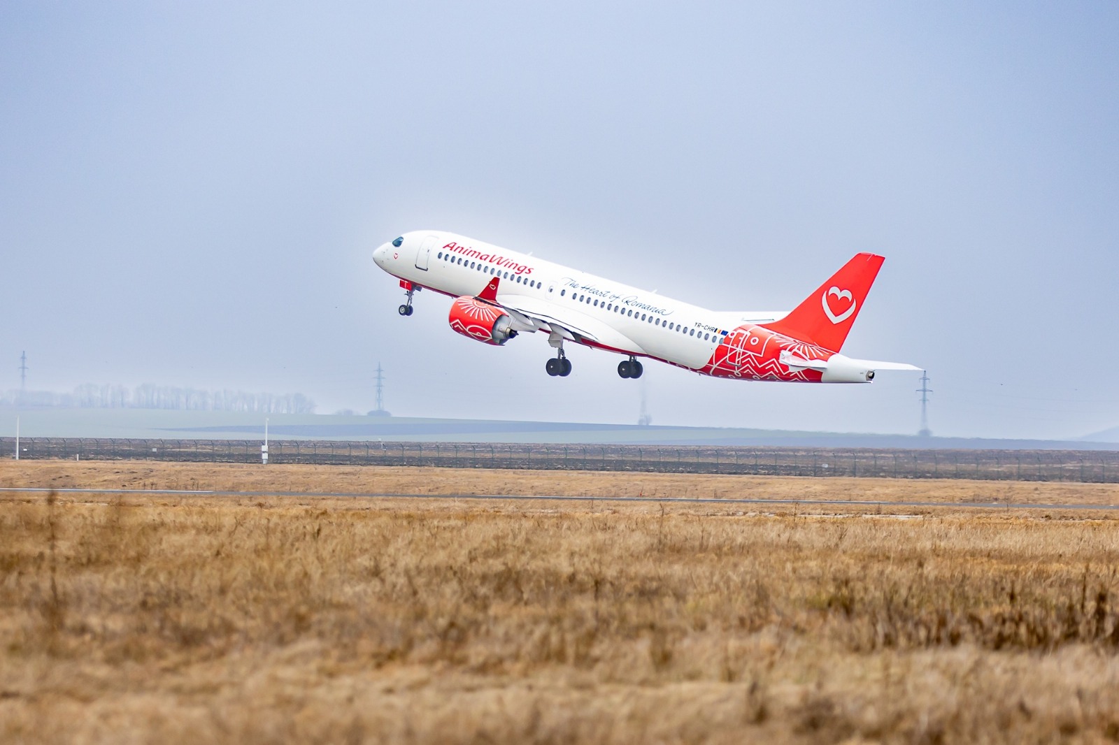 Animawings lansează cinci rute noi și primește al optulea avion Airbus A220-300