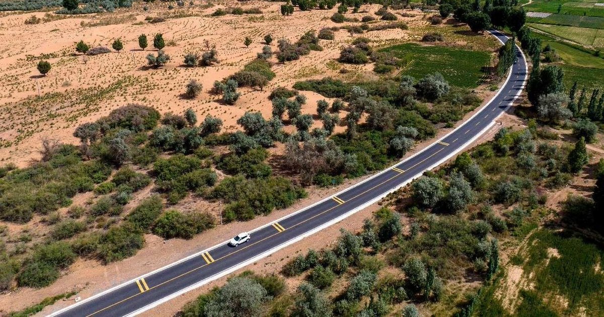 Arborii plantați de China în programul de reîmpădurire cresc cu 66% mai repede decât pădurile naturale, arată un studiu
