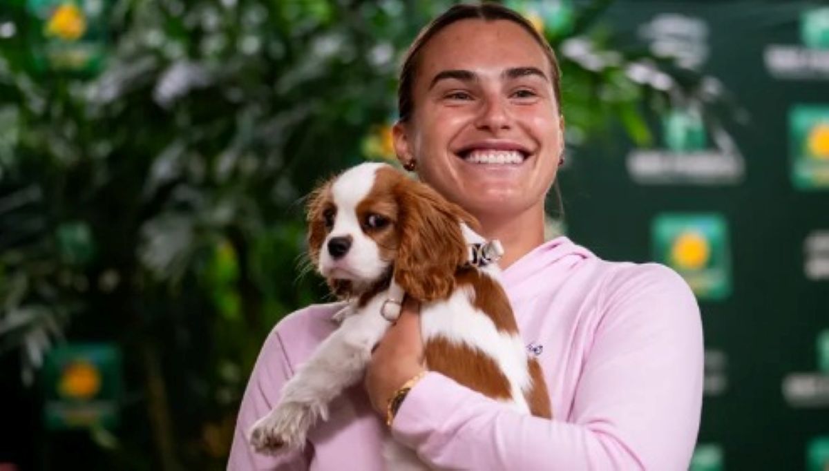 Aryna Sabalenka, rugăminte emoționantă la Wimbledon: „Vă rog, lăsați câinii să intre”