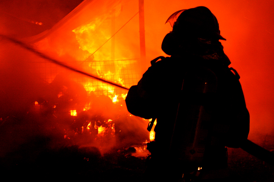 Incendiile de vegetație au ars aproape 50.000 de hectare în Spania în ultimul an