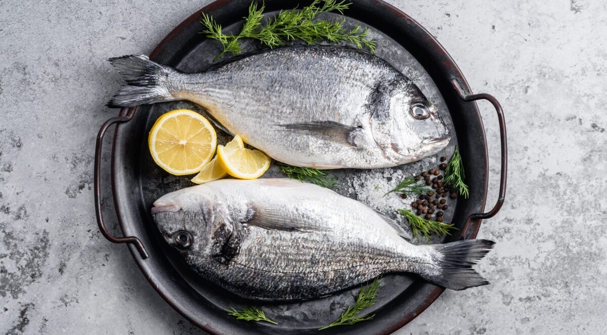 Macroul de Atlantic, cea mai bogată sursă de Omega 3. Ce pești să alegi pentru o alimentație sănătoasă