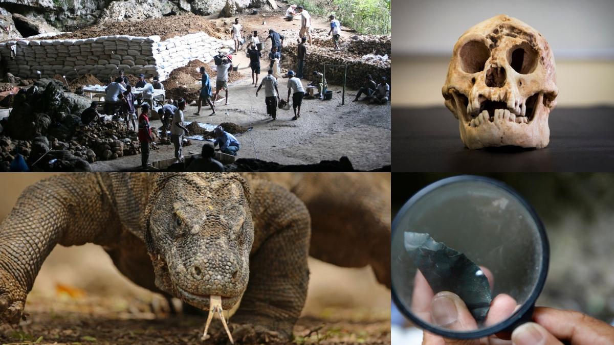 Studiu: Homo floresiensis, „hobbiții” preistorici, erau necrofagi, nu vânători