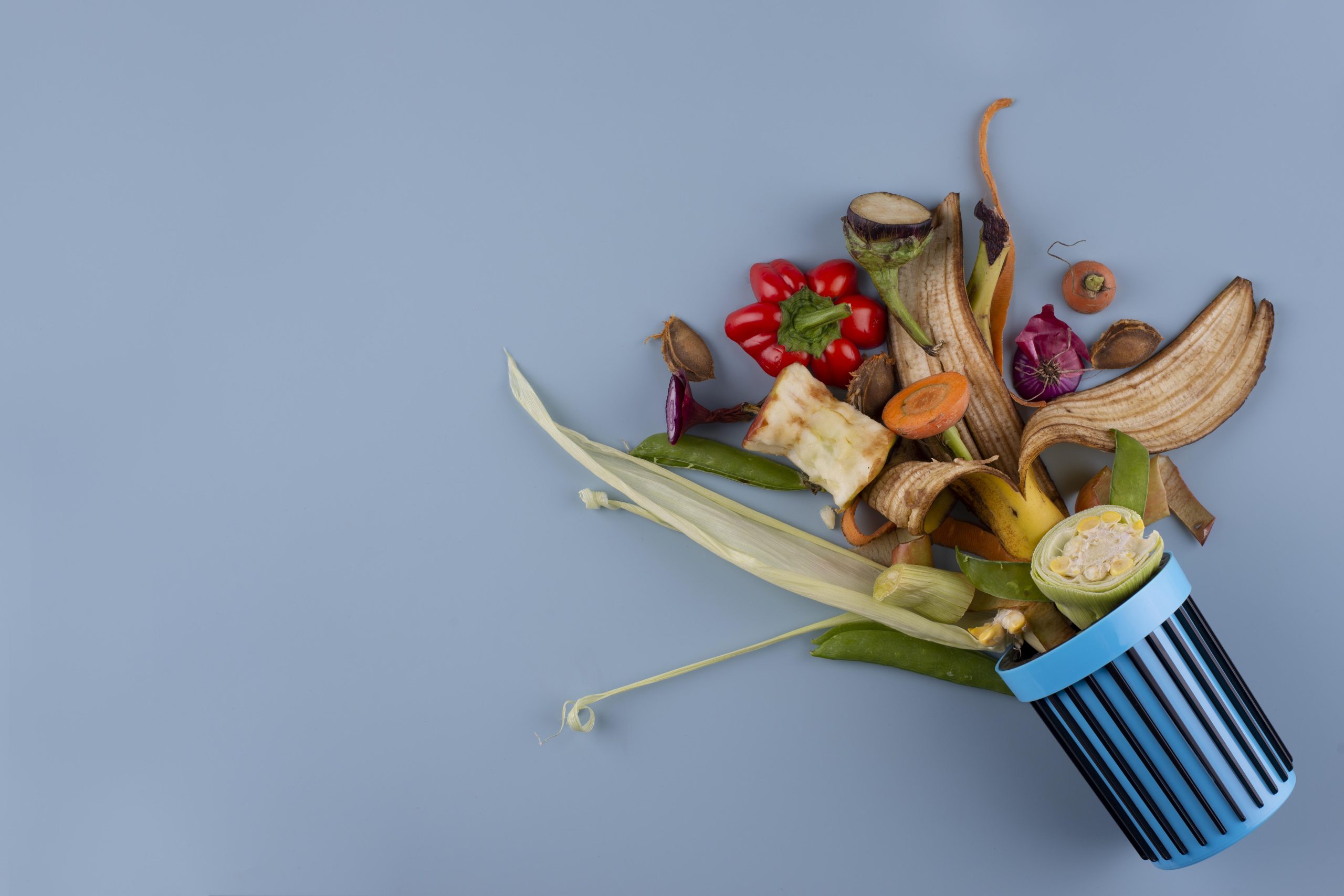 Trei antreprenori români digitalizează birocrația din firme cu platforme pentru nutriție, risipă și deșeuri